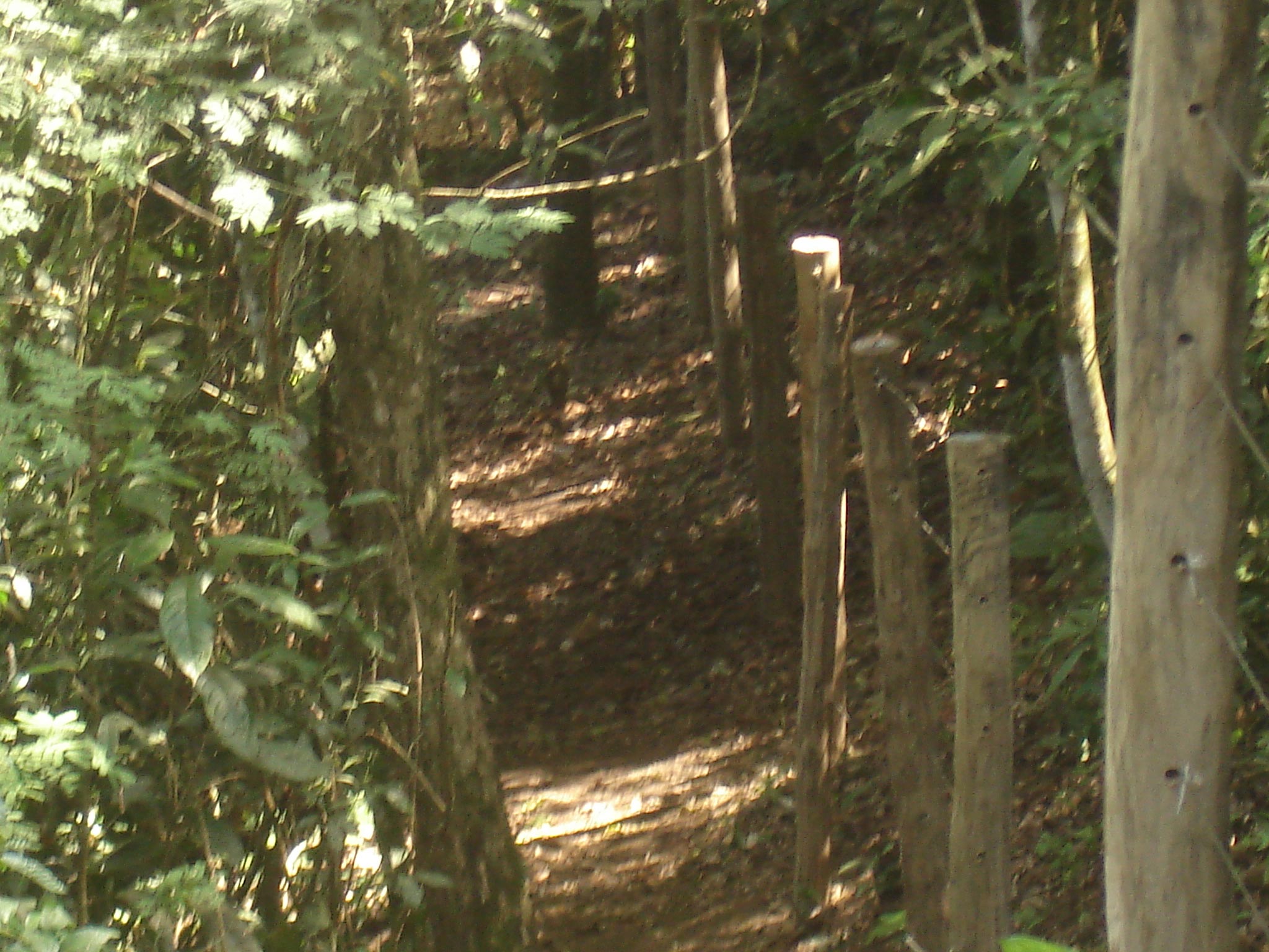 Dsc04915